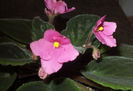 DSC01637