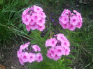 DSCF2024