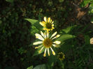 DSCF2037