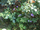 DSCF2046