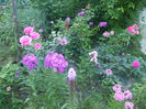 DSCF2047
