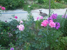 DSCF2048