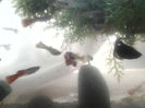 2013-07-05 12.32.25