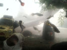 2013-07-05 12.32.34