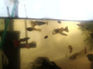 2013-07-05 12.32.53