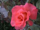 DSC01905