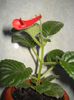 DSC08106