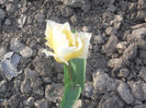 DSCF8747