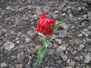DSCF8759