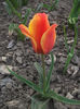DSCF8764