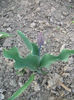 DSCF8775