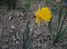 DSCF8727