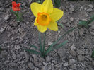 DSCF8730