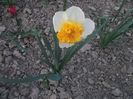 DSCF8731
