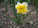 DSCF8735
