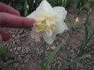 DSCF8736