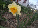 DSCF8738