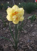 DSCF8762