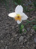 DSCF8772
