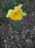 DSCF8773