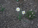 DSCF8777