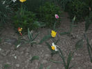 DSCF8815