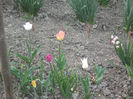 DSCF8820