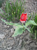 DSCF8854