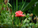 DSCN5138