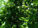 DSCN5139