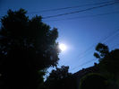 DSCN5291