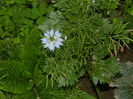 DSCN5340