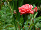 DSCN5359