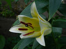 DSCN5371