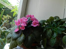DSCN5374