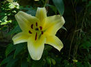 DSCN5376