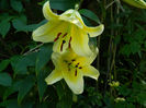 DSCN5377