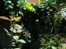 DSCN5400