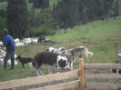 SAM_3459