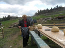 SAM_3468