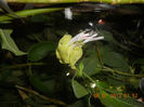 DSCN3671