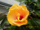 DSCN3667