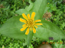 DSCN3676
