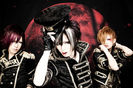 Diaura in 2008-2010