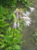 DSCN4555