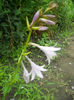 DSCN4556