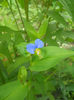 DSCN4557