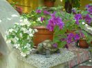DSC03402