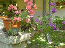 DSC03404
