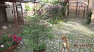 DSC05207